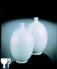 Terracolor D8250a elävä valkoinen kiiltävä lasite 1200-1280 °C