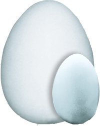 Kipsimuotti kananmuna 25 cm